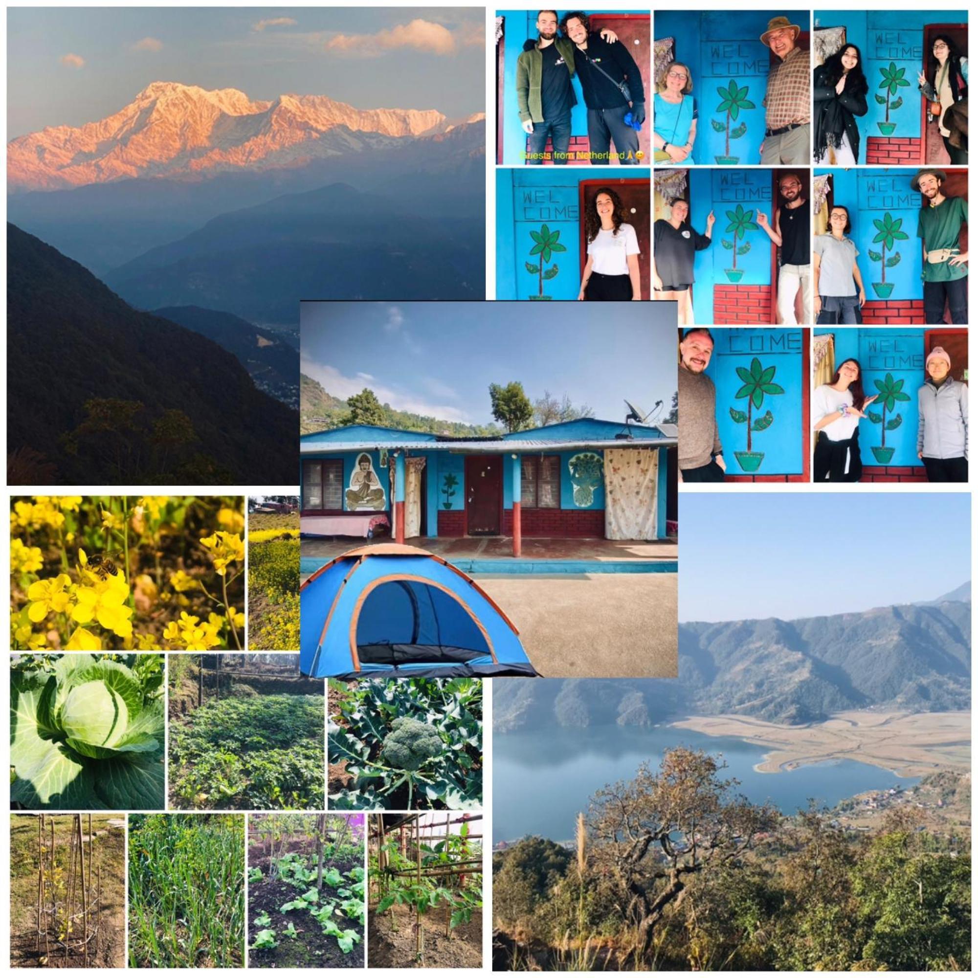 Hom'S Homestay & Farmstay Sarangkot Pokhara Exterior foto